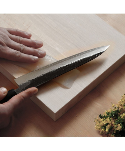 Gen knife gyuto 210 mm