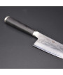 Shikisai Deba knife